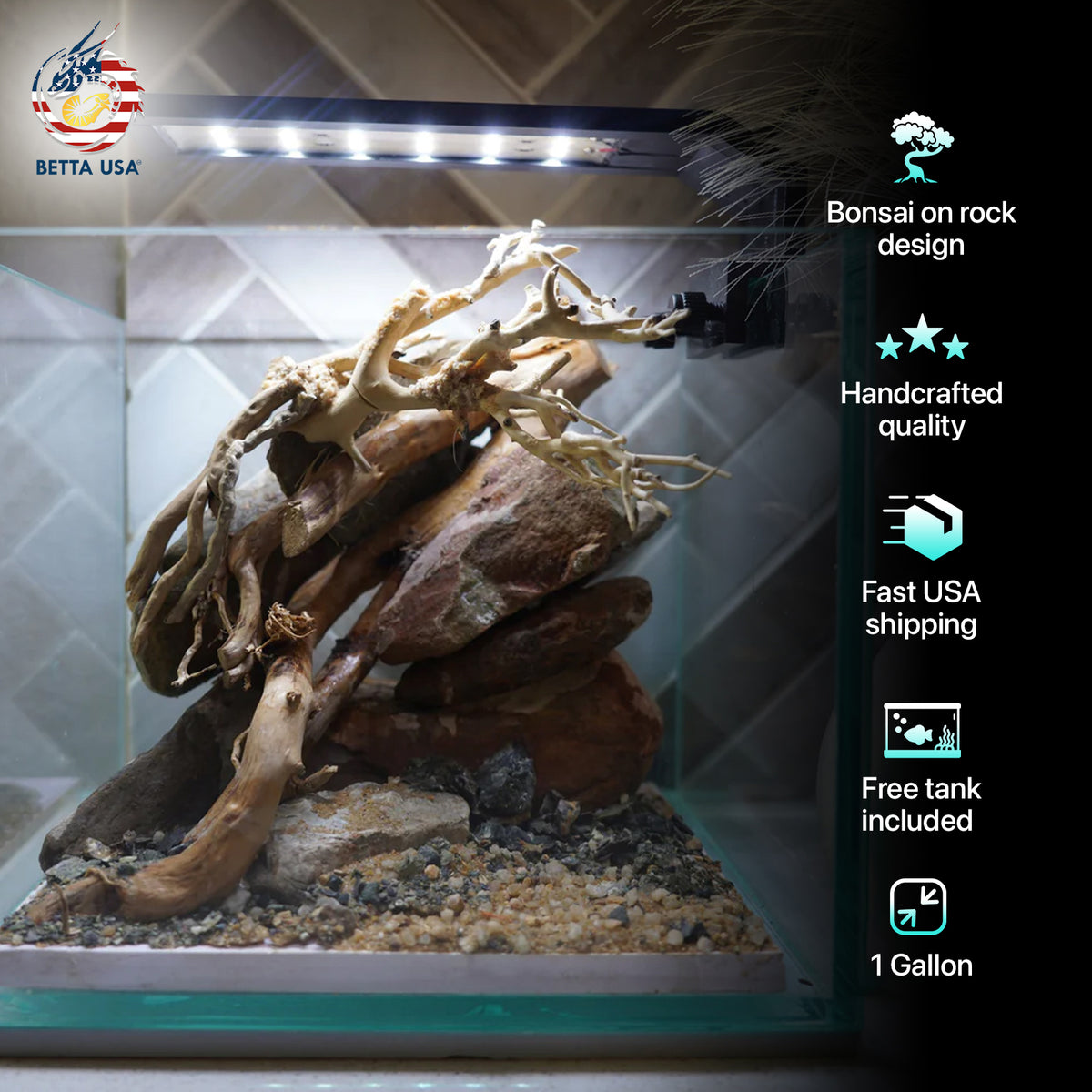[SCAPE-19] Bonsai on River Rock Aquascape Aquarium  – 1 Gallon