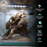 [SCAPE-19] Bonsai on River Rock Aquascape Aquarium  – 1 Gallon