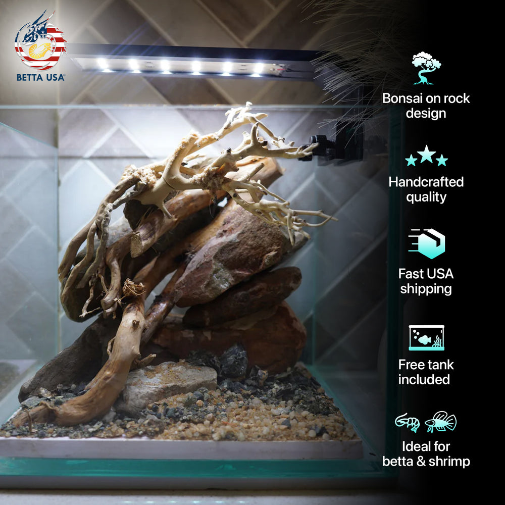[SCAPE-19] Bonsai on River Rock Aquascape Aquarium  – 1 Gallon - Betta USA Aquatic