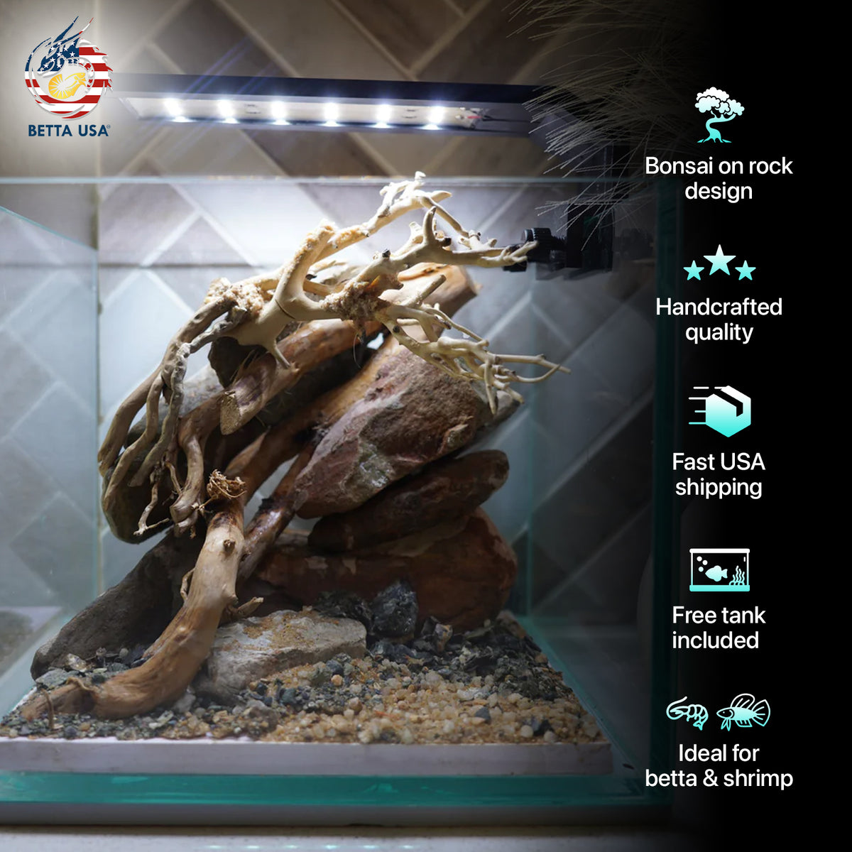 [SCAPE-19] Bonsai on River Rock Aquascape Aquarium  – 1 Gallon - Betta USA Aquatic