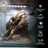 [SCAPE-19] Bonsai on River Rock Aquascape Aquarium  – 1 Gallon - Betta USA Aquatic