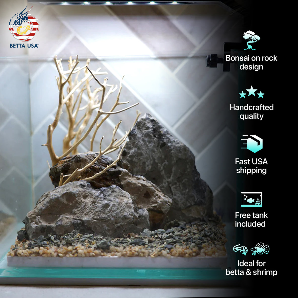 [SCAPE-20] Bonsai on Rock Aquascape Aquarium  – 1 Gallon - Betta USA Aquatic