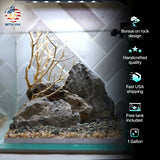 [SCAPE-20] Bonsai on Rock Aquascape Aquarium  – 1 Gallon