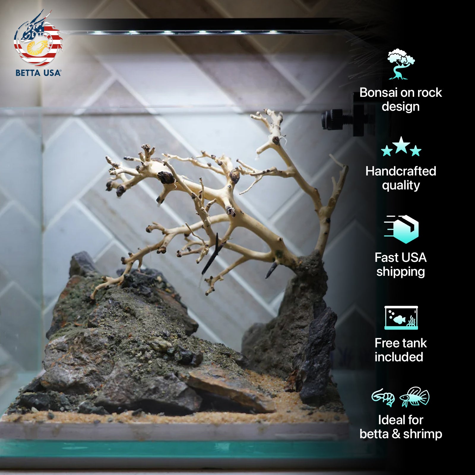 [SCAPE-22] Bonsai on Rock Aquascape Aquarium  – 1 Gallon - Betta USA Aquatic