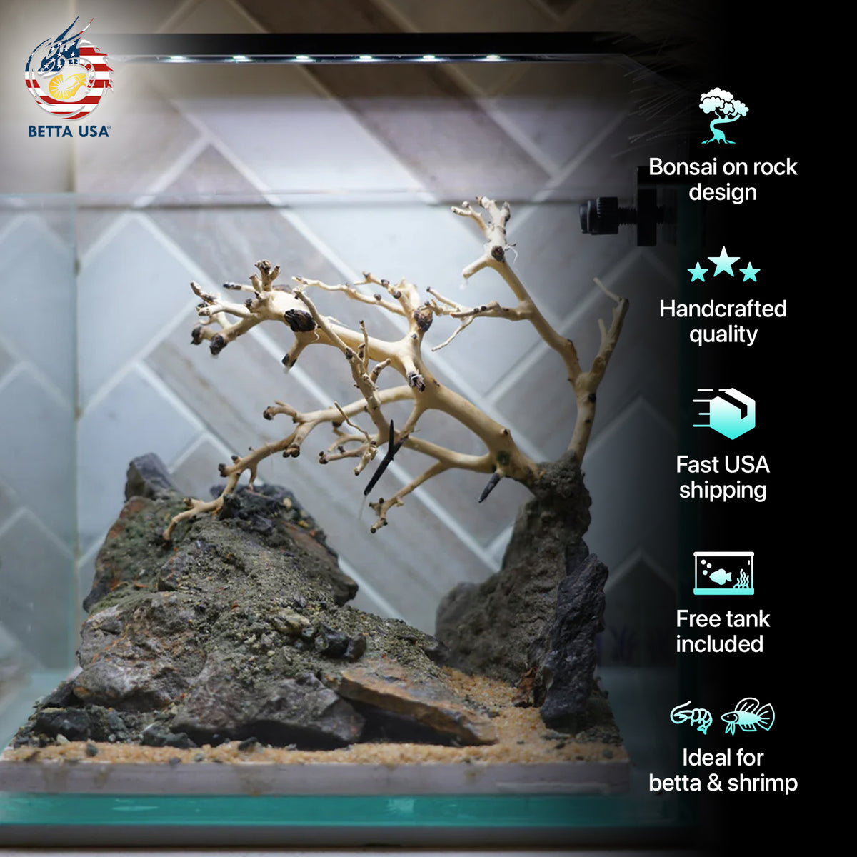 [SCAPE-22] Bonsai on Rock Aquascape Aquarium  – 1 Gallon - Betta USA Aquatic