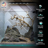 [SCAPE-22] Bonsai on Rock Aquascape Aquarium  – 1 Gallon - Betta USA Aquatic