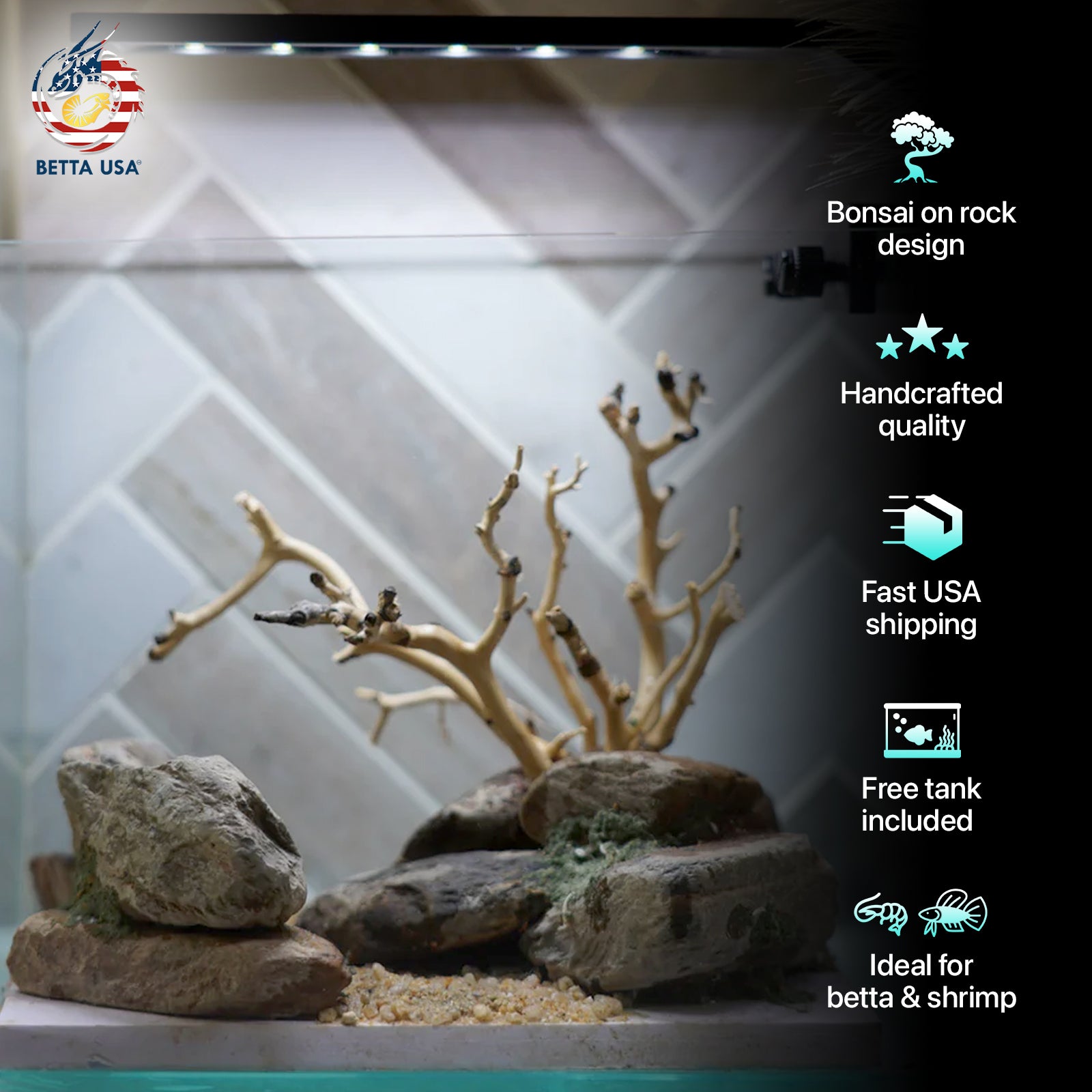 [SCAPE-23] Bonsai on Rock Aquascape Aquarium  – 1 Gallon - Betta USA Aquatic