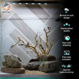 [SCAPE-23] Bonsai on Rock Aquascape Aquarium  – 1 Gallon - Betta USA Aquatic