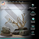 [SCAPE-23] Bonsai on Rock Aquascape Aquarium  – 1 Gallon
