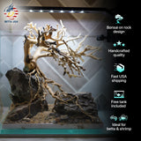 [SCAPE-24] Bonsai on Rock Aquascape Aquarium  – 1 Gallon - Betta USA Aquatic