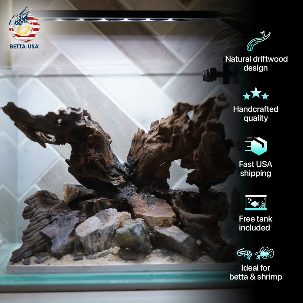 [SCAPE-25] Nature Aquarium Aquascape Driftwood  – 1 Gallon - Betta USA Aquatic
