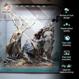 [SCAPE-33] Bonsai on Rock Aquascape Aquarium  – 1 Gallon - Betta USA Aquatic