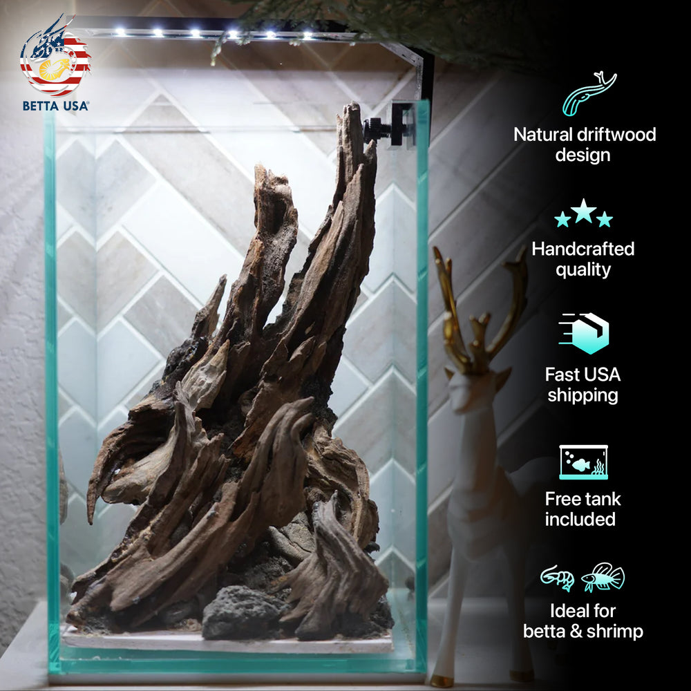 [SCAPE-40] Nature Aquarium Aquascape Driftwood – 1.6 Gallons - Betta USA Aquatic