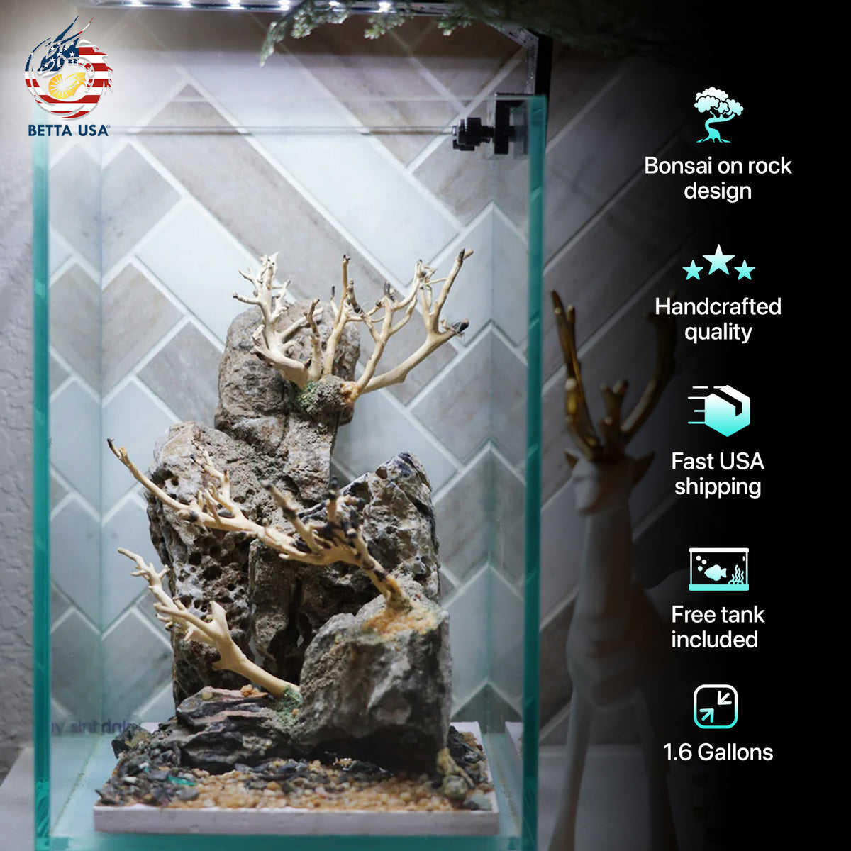 [SCAPE-43] Bonsai On Rock  Nature Aquarium Aquascape– 1.6 Gallons