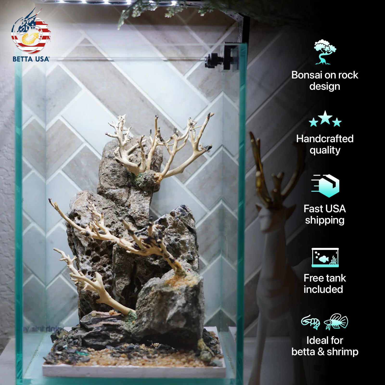 [SCAPE-43] Bonsai On Rock  Nature Aquarium Aquascape– 1.6 Gallons - Betta USA Aquatic