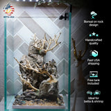 [SCAPE-43] Bonsai On Rock  Nature Aquarium Aquascape– 1.6 Gallons - Betta USA Aquatic