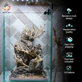 [SCAPE-43] Bonsai On Rock  Nature Aquarium Aquascape– 1.6 Gallons