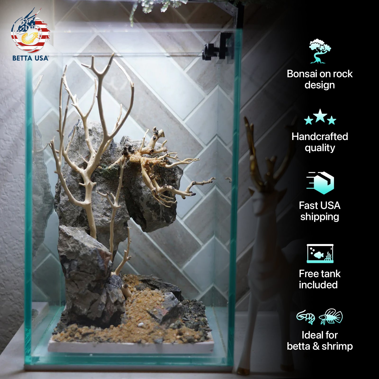 [SCAPE-44] Bonsai On Rock  Nature Aquarium Aquascape– 1.6 Gallons - Betta USA Aquatic