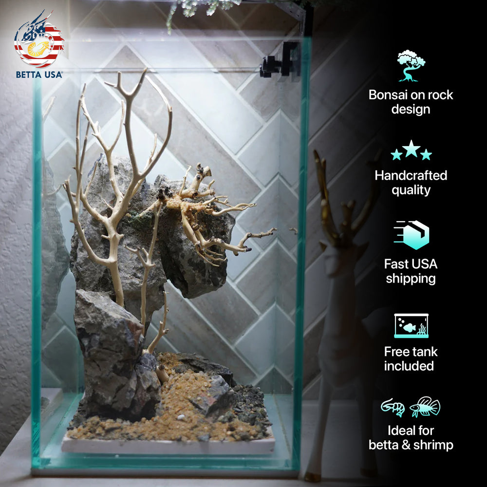 [SCAPE-44] Bonsai On Rock  Nature Aquarium Aquascape– 1.6 Gallons - Betta USA Aquatic