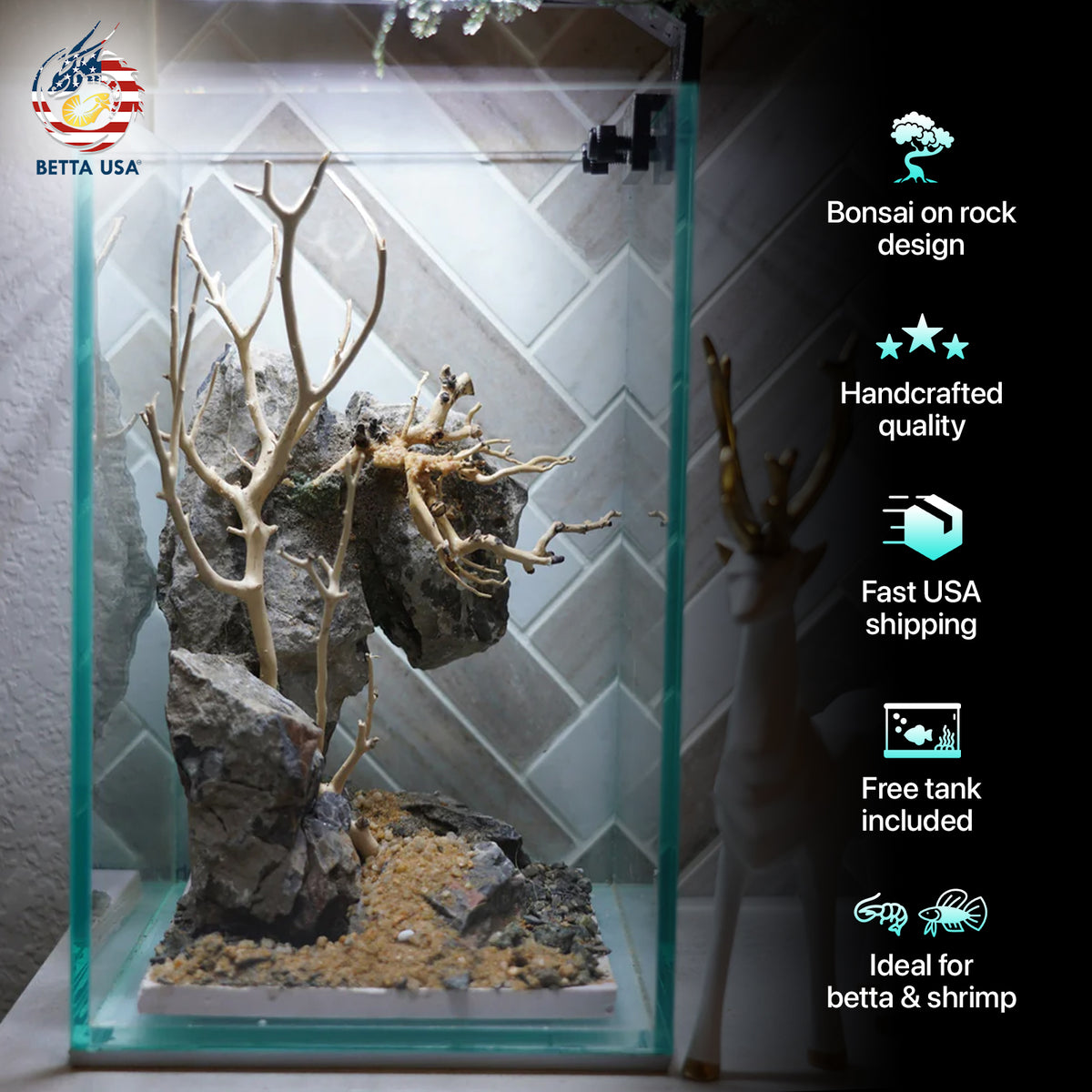 [SCAPE-44] Bonsai On Rock  Nature Aquarium Aquascape– 1.6 Gallons - Betta USA Aquatic