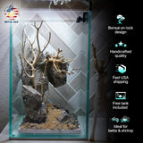 [SCAPE-44] Bonsai On Rock  Nature Aquarium Aquascape– 1.6 Gallons - Betta USA Aquatic