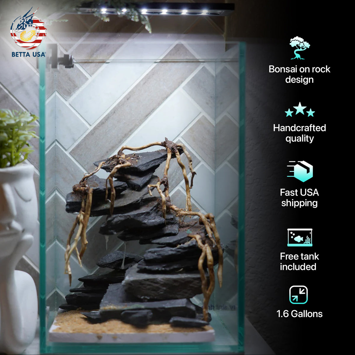 [SCAPE-45] Bonsai On Rock  Nature Aquarium Aquascape– 1.6 Gallons