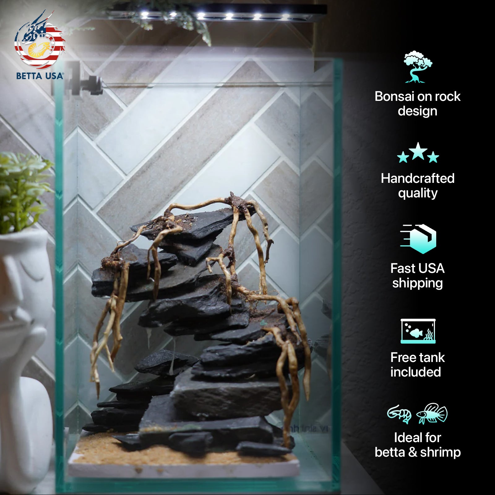 [SCAPE-45] Bonsai On Rock  Nature Aquarium Aquascape– 1.6 Gallons - Betta USA Aquatic