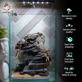 [SCAPE-45] Bonsai On Rock  Nature Aquarium Aquascape– 1.6 Gallons - Betta USA Aquatic