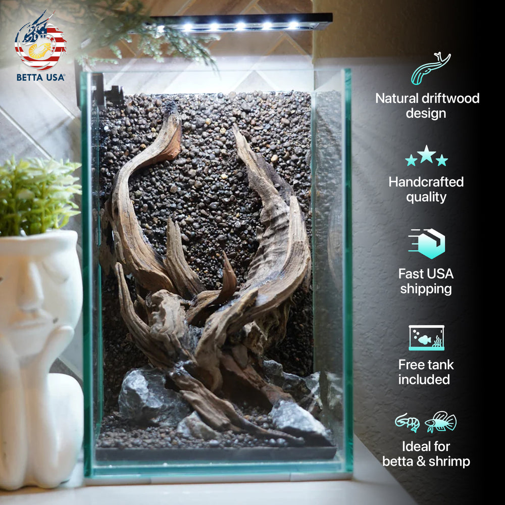 [SCAPE-60] Nature Aquarium Aquascape Driftwood– 1.6 Gallons - Betta USA Aquatic