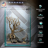[SCAPE-61] Bonsai On Rock  Nature Aquarium Aquascape– 1.6 Gallons