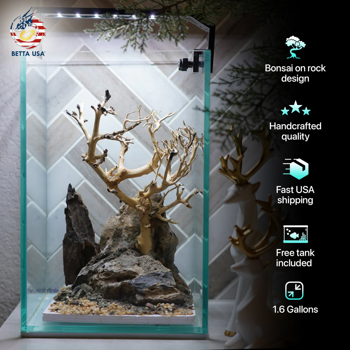 [SCAPE-62] Bonsai On Rock  Nature Aquarium Aquascape– 1.6 Gallons