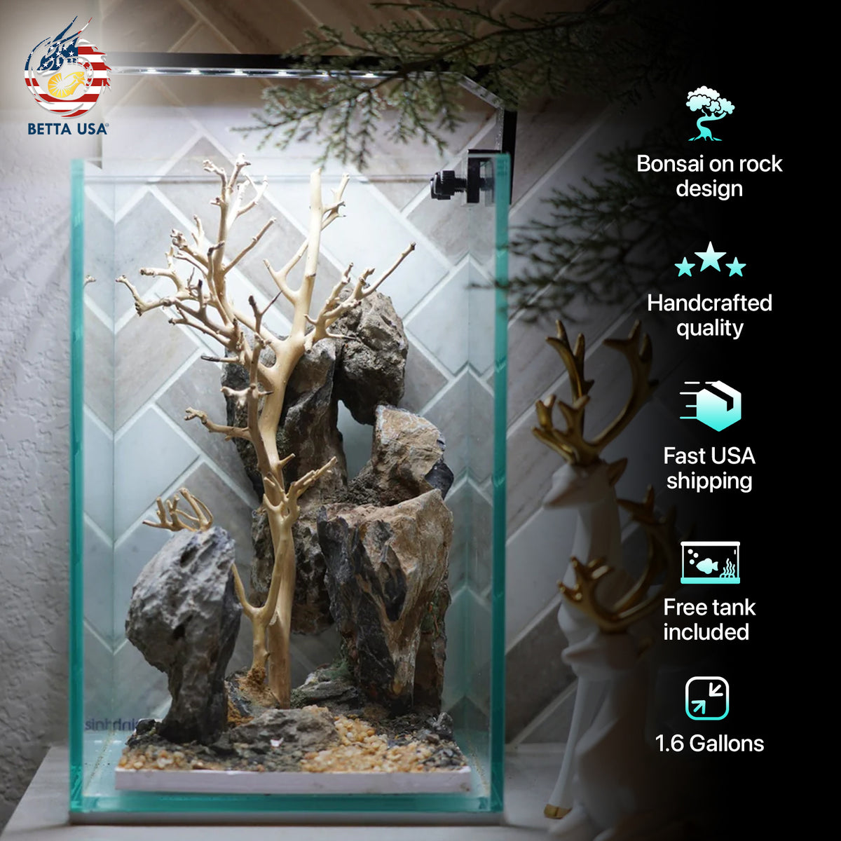 [SCAPE-63] Bonsai On Rock  Nature Aquarium Aquascape– 1.6 Gallons