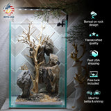 [SCAPE-63] Bonsai On Rock  Nature Aquarium Aquascape– 1.6 Gallons - Betta USA Aquatic