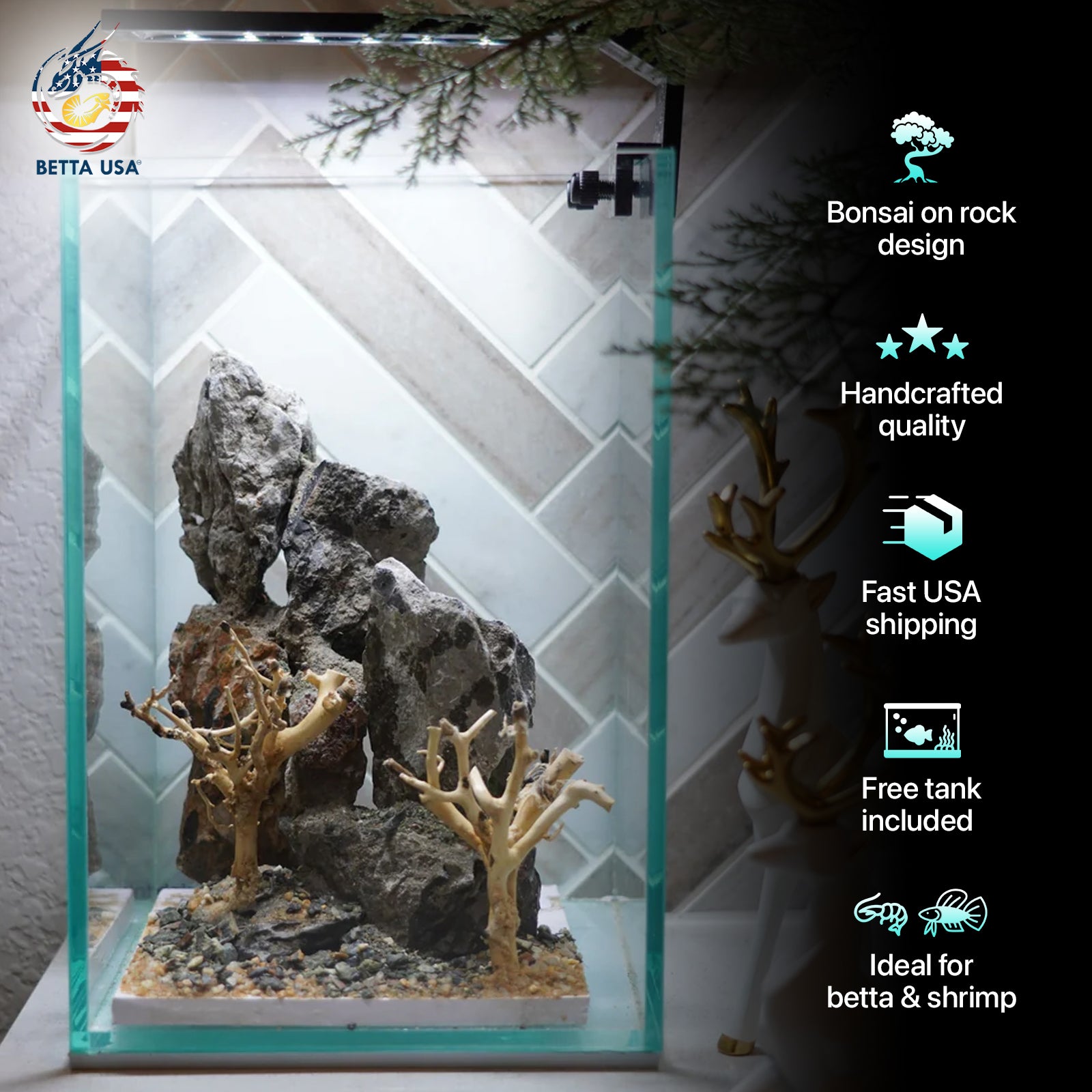 [SCAPE-64] Bonsai On Rock  Nature Aquarium Aquascape– 1.6 Gallons - Betta USA Aquatic