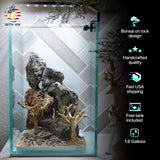 [SCAPE-64] Bonsai On Rock  Nature Aquarium Aquascape– 1.6 Gallons