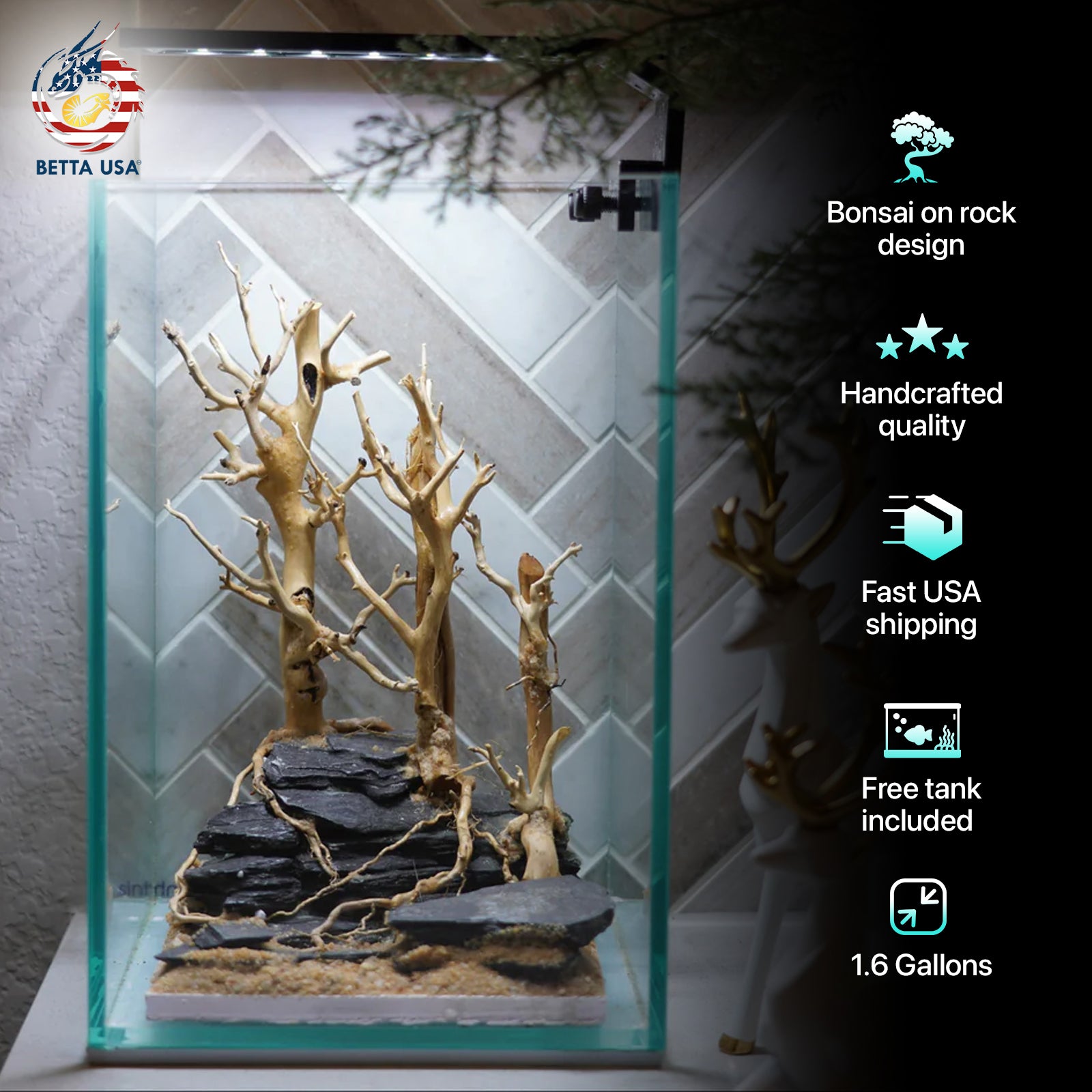[SCAPE-65] Bonsai On Rock  Nature Aquarium Aquascape– 1.6 Gallons