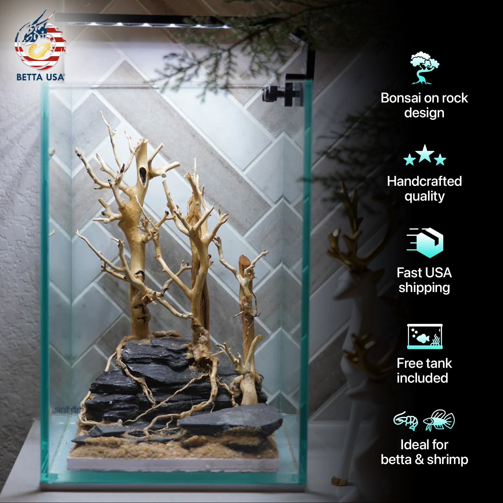 [SCAPE-65] Bonsai On Rock  Nature Aquarium Aquascape– 1.6 Gallons - Betta USA Aquatic