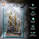 [SCAPE-65] Bonsai On Rock  Nature Aquarium Aquascape– 1.6 Gallons - Betta USA Aquatic