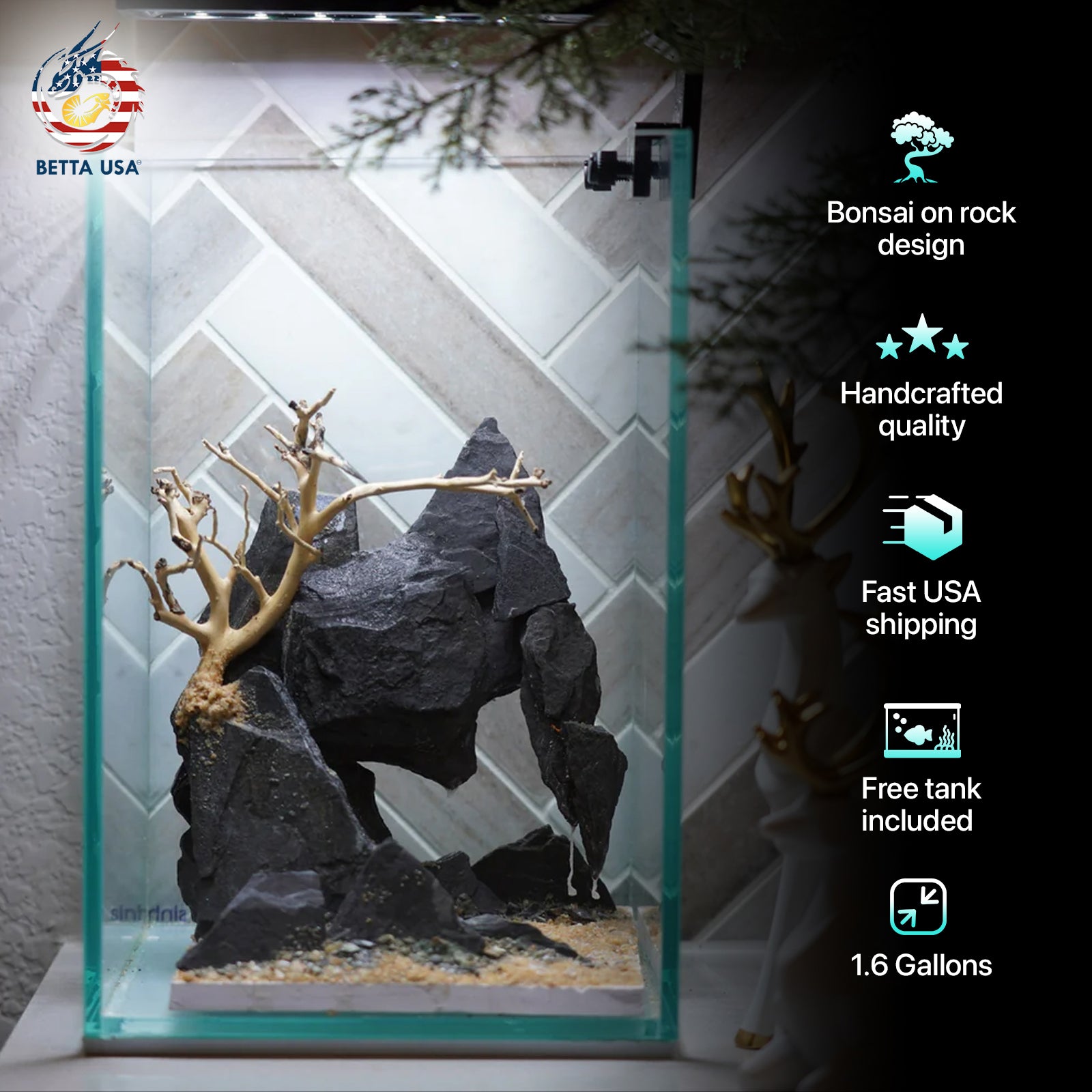 [SCAPE-66] Bonsai On Rock  Nature Aquarium Aquascape– 1.6 Gallons