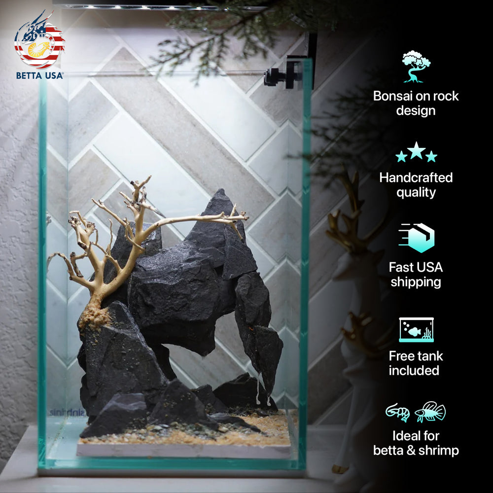 [SCAPE-66] Bonsai On Rock  Nature Aquarium Aquascape– 1.6 Gallons - Betta USA Aquatic