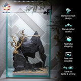 [SCAPE-66] Bonsai On Rock  Nature Aquarium Aquascape– 1.6 Gallons - Betta USA Aquatic