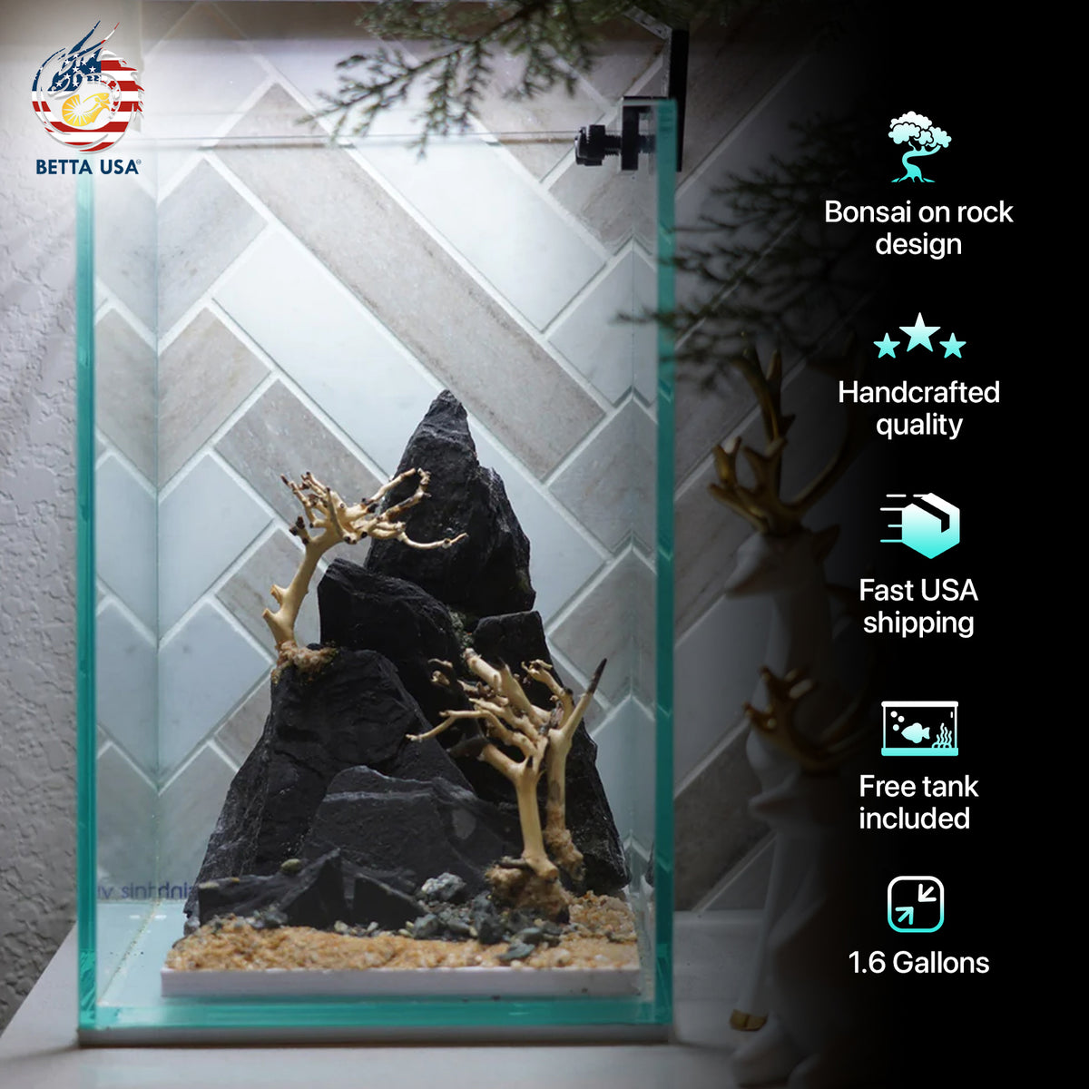 [SCAPE-67] Bonsai On Rock  Nature Aquarium Aquascape– 1.6 Gallons
