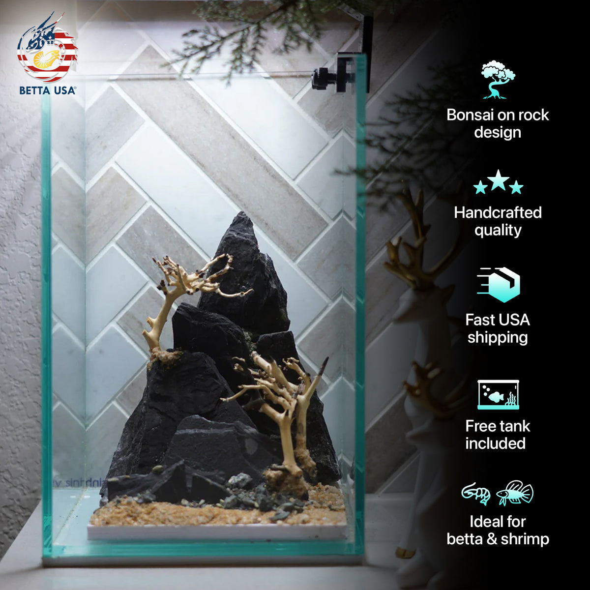 [SCAPE-67] Bonsai On Rock  Nature Aquarium Aquascape– 1.6 Gallons - Betta USA Aquatic