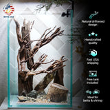 [SCAPE-71] Nature Aquarium Aquascape Driftwood– 1.6 Gallons - Betta USA Aquatic
