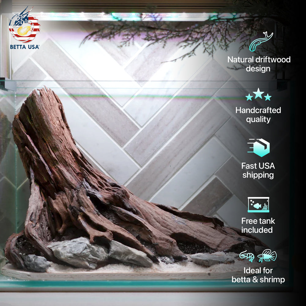 [SCAPE-76] Nature Aquarium Aquascape Driftwood– 2.7 Gallons - Betta USA Aquatic