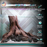 [SCAPE-77] Nature Aquarium Aquascape Driftwood– 2.7 Gallons - Betta USA Aquatic
