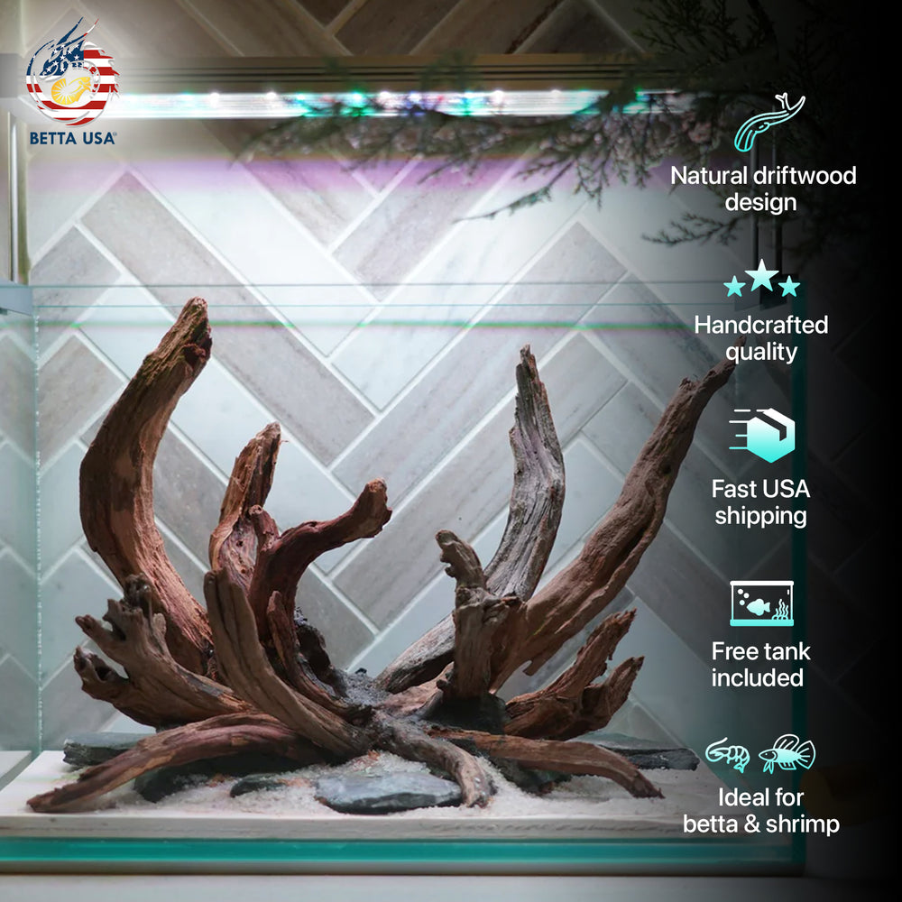 [SCAPE-78] Nature Aquarium Aquascape Driftwood– 2.7 Gallons - Betta USA Aquatic