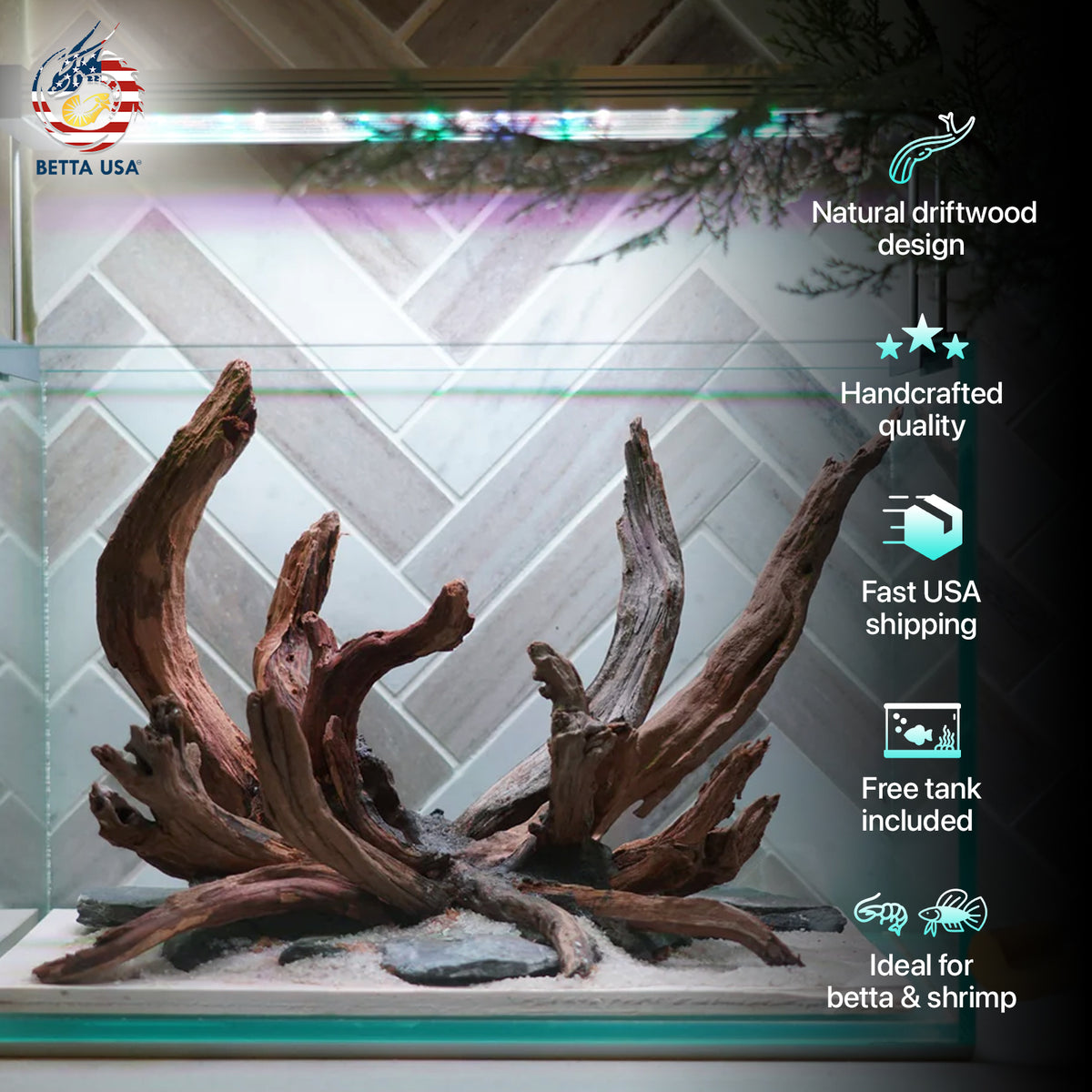 [SCAPE-78] Nature Aquarium Aquascape Driftwood– 2.7 Gallons - Betta USA Aquatic