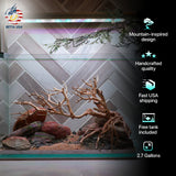 [SCAPE-79] Bonsai On Rock Nature Aquarium Aquascape – 2.7 Gallons