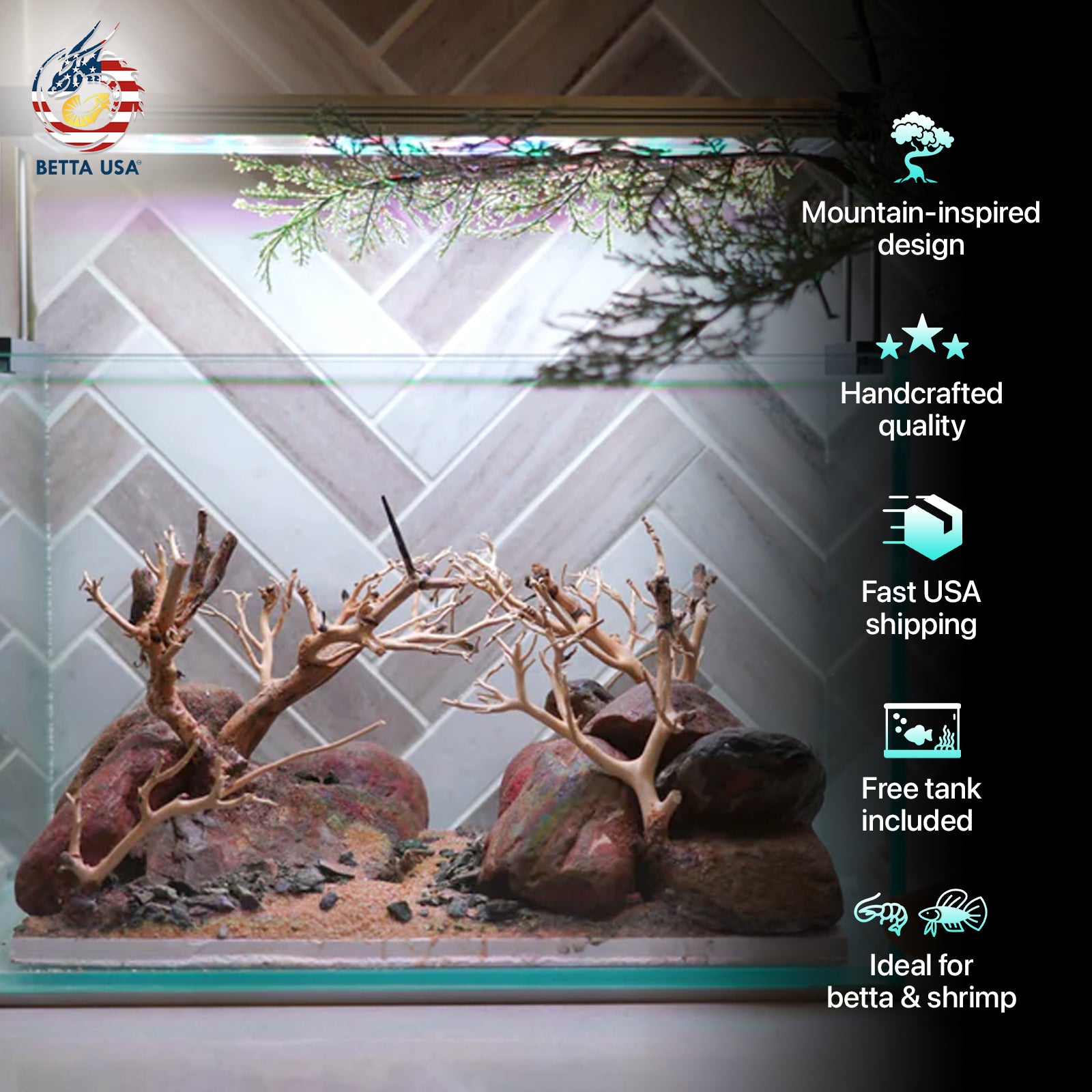 [SCAPE-80] Bonsai On Rock Nature Aquarium Aquascape – 2.7 Gallons